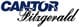 Cantor Equity Partners II Inc. stock logo