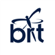 Biorestorative Therapies, Inc. stock logo