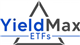 YieldMax Nasdaq 100 0DTE Covered Call Strategy ETF stock logo